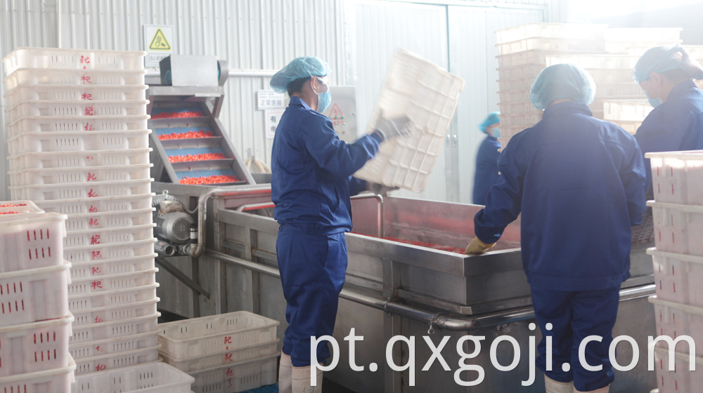 GMP Factory Supply Goji Juice